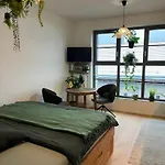 Wildcomfort Jungle Brno