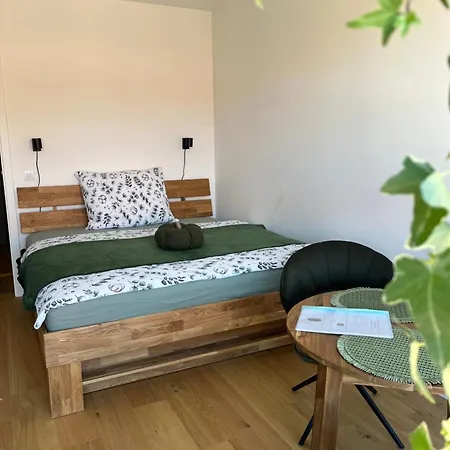 Apartament Jungle Brno