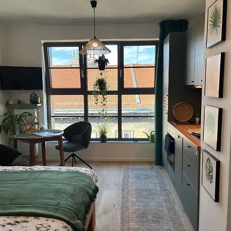 Apartament Jungle