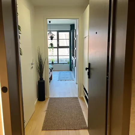 Apartament Jungle