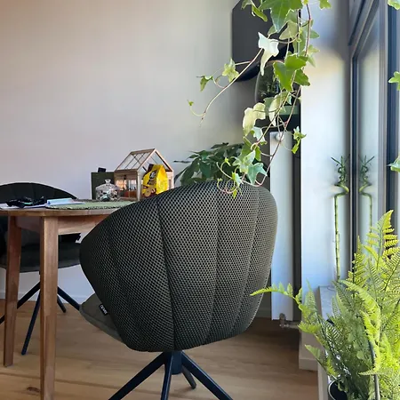 Apartament Jungle Brno