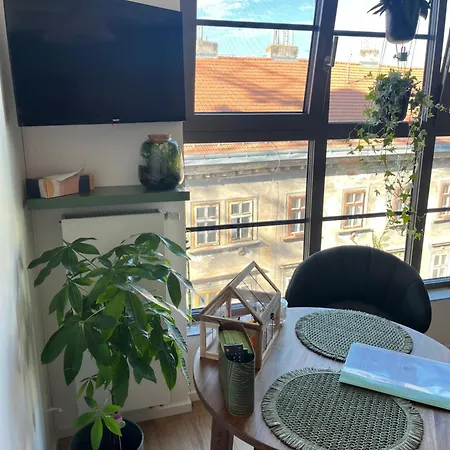 Jungle