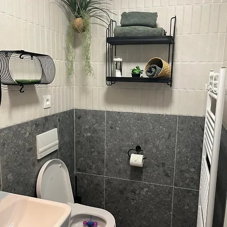 Jungle Apartament *