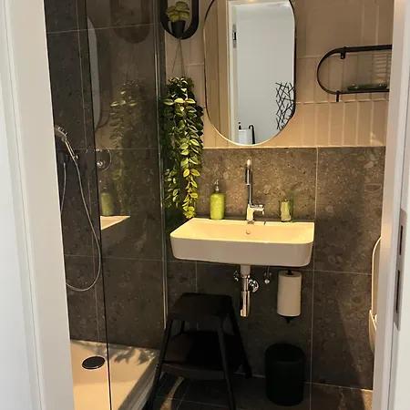 Jungle Apartament
