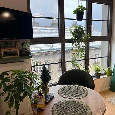 Apartamento Wildcomfort Jungle *