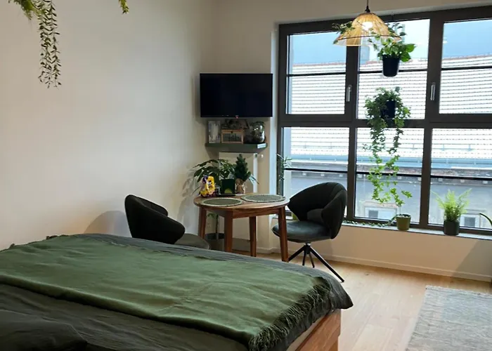 Wildcomfort Jungle Brno