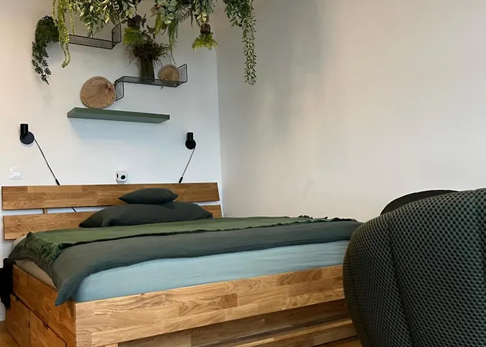 Wildcomfort Jungle Apartamento *